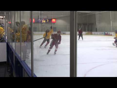 Ancaster Jr. B Hockey Mini Training Camp 2013