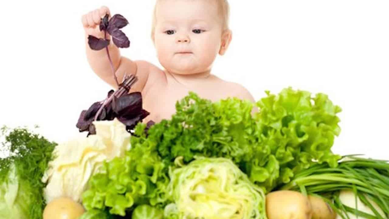 Vegan Parents Lose Their Baby