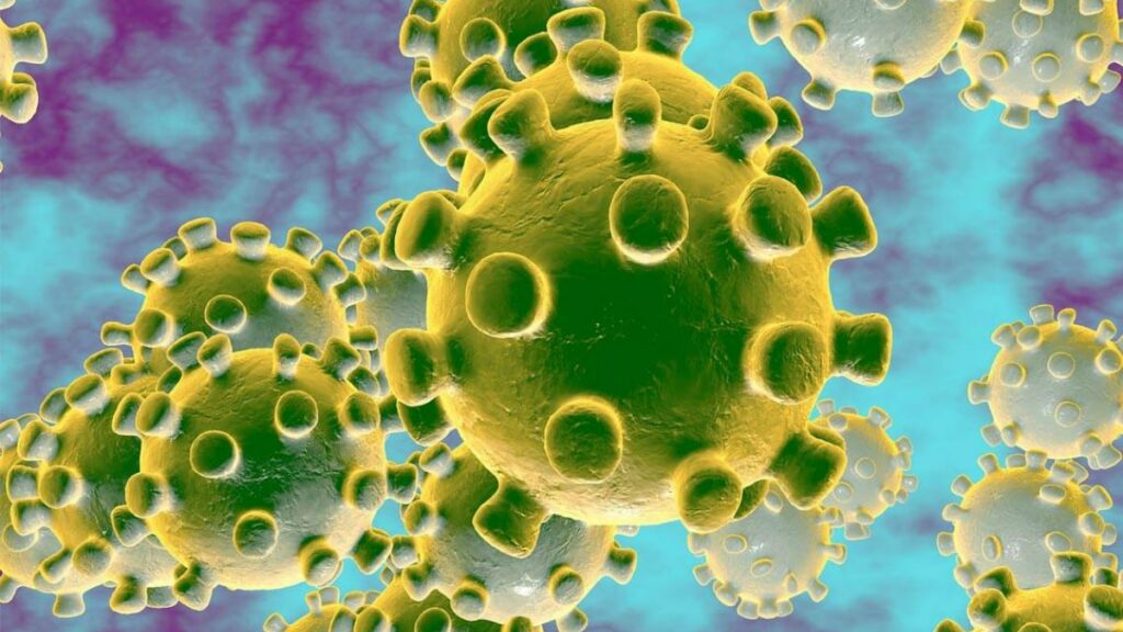 The fast spreading coronavirus