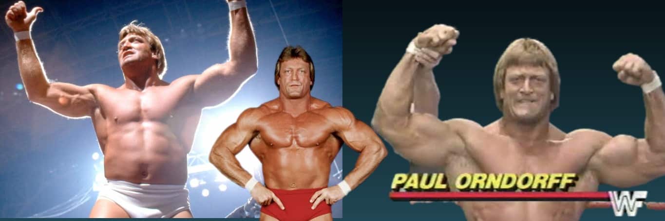 WWE Hall of Famer Paul Orndorff dead at the age of 71