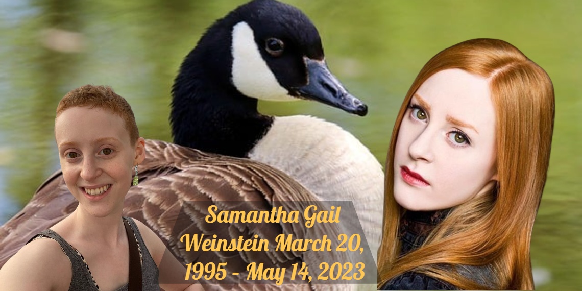 Samantha Weinstein, a Canadian actress, dead at the age of 28. Samantha Weinstein March 20 1995 May 14, 2023 was a Canadian actress